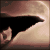 :iconinolover89: