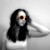 :iconinomonanimalcrackers: