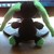 :iconinquisitivespirit: