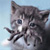 :iconinquisitorthrax: