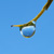 :iconinr93: