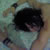 :iconinrowllings: