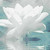 InsaneAngel13 :iconinsaneangel13: