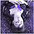 :iconinsanelullabye: