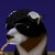 :iconinsanethestreetcat: