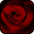 :iconinsanguinata-mafia: