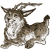 :iconinsanitewolf:
