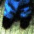 :iconinsanity-test: