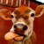 :iconinsearchofdinosaurs:
