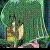 InsectorHaga :iconinsectorhaga:
