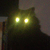 :iconinsidedollysmind:
