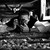 :iconinsider1138: