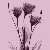 insomniaispower :iconinsomniaispower: