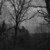 :iconinsomniak-1:
