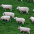 :iconinsomniaphotos: