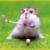 :iconinsoziam: