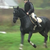 :iconinspired-by-horses: