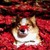 :iconinstantcolors: