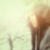 :iconinstapicturemoments: