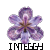 :iconinteggy:
