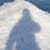 :iconintelknight: