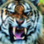 :iconintercostal-archives: