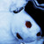 :iconinterdicted: