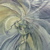 :iconinterlight: