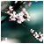 :iconIntermediate-Jesus: