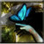 :iconintertwineddestiny: