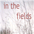 :iconinthefields: