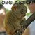 :iconinthelittlekitteh: