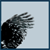 :iconinto-blue:
