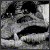 :iconintothelabyrinth: