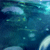 :iconintotheriver: