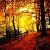 :iconintrepid-journey: