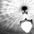 :iconintrinsic-flow: