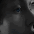 :iconintrophoto: