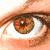 :iconintruse: