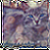 :iconintuiciacat: