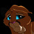 :iconintusasper: