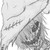:iconinu-reaper-666: