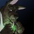 :iconinuart-lostntime: