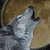 :iconinubad23: