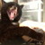 :iconinucuttie: