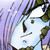 InuEd :iconinued: