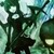 :iconinukogirl: