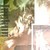 :iconinukun2008: