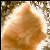 :iconinuoko: