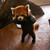 :iconinurcosplaybeinotaku: